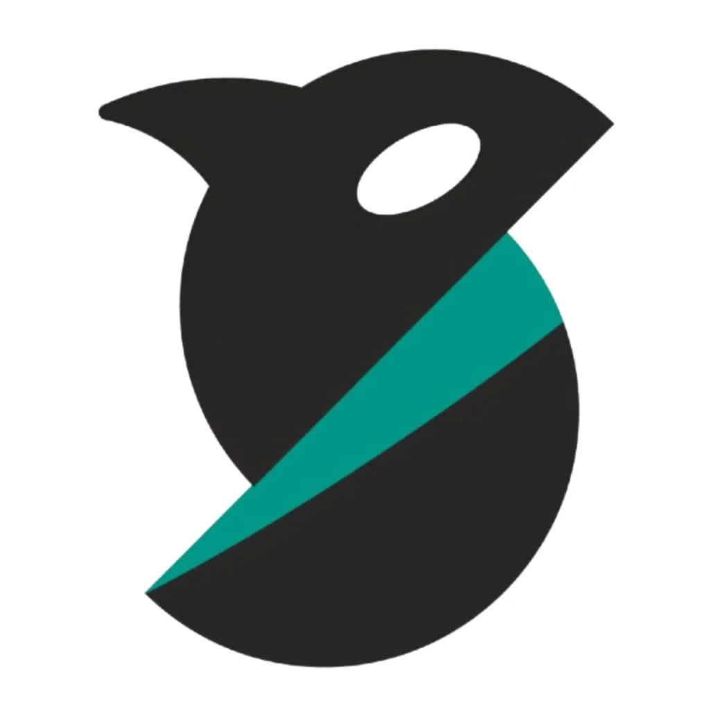 download orca slicer new version 2025